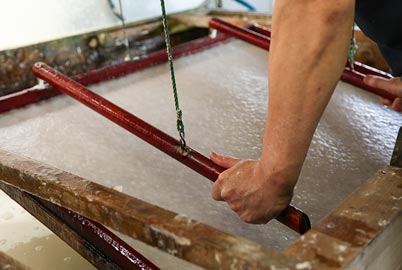 体験オプション