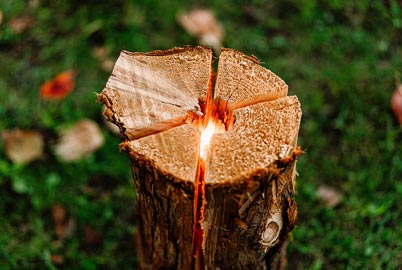 BBQを楽しむレンタル・備品